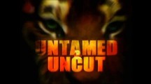Дикие и Опасные: 10 серия. Тигр нападает на смотрителя / Untamed and Uncut (2010)