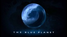 Голубая планета 1 серия. Голубая планета / The Blue Planet (2001)