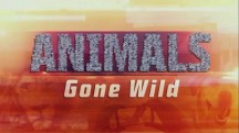 Животные без правил 3 серия. Зона опасности / Animals Gone Wild (2015)