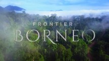 Дикий Борнео 1 серия / Wild Borneo (2017)