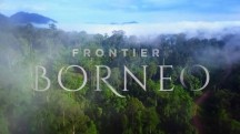 Дикий Борнео 5 серия / Wild Borneo (2017)