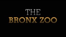 Зоопарк 2 сезон 1 серия / The Bronx Zoo (2018)