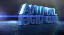 Бойцовский клуб для животных 3 сезон 5 серия. Битвы за территорию / Animal Fight Club (2015)