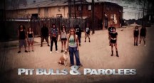 На свободу с питбулем 7 сезон: 17 серия. Шанс Джексона / Pit Bulls and Parolees (2016)