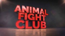 Бойцовский клуб для животных Лучшее: Заклятые враги / Animal Fight Club (2018)