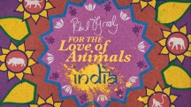 Пол О'Грэди: из любви к животным. Индия 2 серия / Paul O'Grady. For the Love of Animals. India (2017)