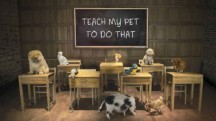 Обучите моего питомца 6 серия / Teach my pet to do that (2017)