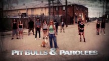 На свободу с питбулем 8 сезон: 10 серия. Тоска по дому / Pit Bulls and Parolees (2018)