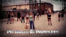 На свободу с питбулем 8 сезон: 15 серия. Девочка по имени Пушка / Pit Bulls and Parolees (2018)