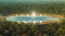 Неоткрытая Шри Ланка 2 серия. Лес под облаками / Wildes Sri Lanka (2015)