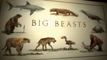 Огромные звери: Последние из великанов 1 серия. Америка / Big Beasts. Last of the Giants (2018)
