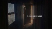 Создавая убийцу 2 сезон: 10 серия / Making a Murderer (2018)