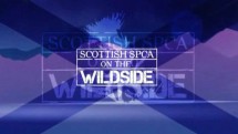 Шотландское общество защиты животных 02 серия / Sottish SPCA (2010)