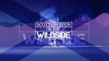 Шотландское общество защиты животных 13 серия / Sottish SPCA (2010)