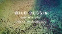 Дикая природа России 2 сезон 3 серия. Холодное сердце Сибири / Wild Russia: Earth's Last Great Wilderness (2018)