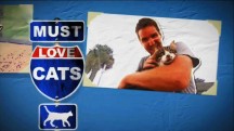Кошек не любить нельзя 1 серия / Must Love Cats (2010)