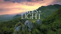 Сказки при свете 1 серия / Tales by Light (2015)