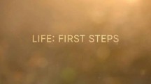 Жизнь: первые шаги 3 серия. Неравный бой / Life: First Steps (2018)