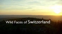 Дикая Швейцария 1 серия / Wild Faces of Switzerland (2018)