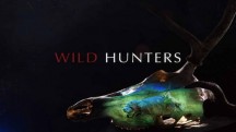 Дикие охотники. Волки и шакалы / Wild Hunters. Wolves & Jackals (2019)