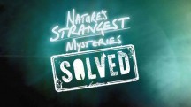 Секреты природы 3 серия. Ползучие воры / Nature's Strangest Mysteries: Solved (2019)