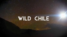Дикая природа Чили 02 серия. Доисторический край / Wild Chile (2017)