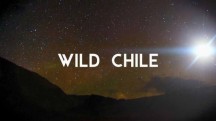 Дикая природа Чили 03 серия. Жизнь без воды / Wild Chile (2017)