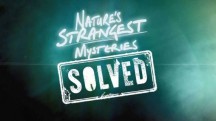 Секреты природы: 10 серия. Животные-вандалы / Nature's Strangest Mysteries: Solved (2019)
