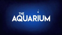Океанариум 8 серия / The Aquarium (2019)