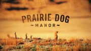 Поместье луговой собачки 02 серия. Хороший, Плохой и Приятный / Prairie Dog Manor (2019)