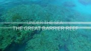 На морской глубине: Большой барьерный риф 3 серия / Under The Sea: The Great Barrier Reef (2018)
