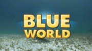 Подводный мир 03 серия. Клаустрофобное погружение в пещеру во Флориде / Blue World (2016)