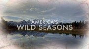 Времена года в дикой природе Америки 3 серия. Осень / America's Wild Seasons (2019)