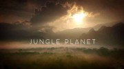 Планета джунглей: 22 серия. Сады богов / Jungle Planet (2017)