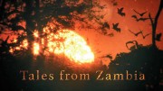 Сказочная Замбия 1 серия. Лесная стая / Tales from Zambia (2016)