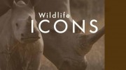 Герои дикой природы 1 сезон 5 серия. Большая пятерка Африки / Wildlife Icons (2016)