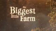 Самая большая маленькая ферма / The Biggest Little Farm (2018)