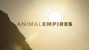 Животные империи 3 серия. Заповедные зоны / Animal Empires (2016)