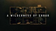 Пустыня ошибок 4 серия / A Wilderness of Error (2020)