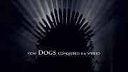 Как собаки и кошки захватили мир 1 серия. Как собаки захватили мир / How Dogs And Cats Conquered The World (2020)