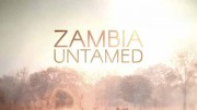 Неукротимая Замбия 1 серия. Изгои (Отверженные) / Zambia Untamed (2017)