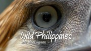 Дикие Филиппины с Найджелом Марвеном 2 серия. Палаван: последний рубеж / Nigel Marven’s Wild Philippines (2017)