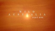 Дикая Австралия 1 серия / Wild Australia (2011)