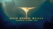 Когда киты ходили по суше. Путешествие в глубь времен 1 серия  / When Whales Walked: Journeys in Deep Time (2019)