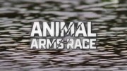 Животные: гонка вооружения 2 серия. Равнины / Animal Arms Race (2018)