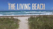 Живой пляж 5 серия. Австралия / The Living Beach (2016)