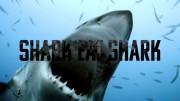 Акула ест акулу / Shark Eat Shark (2023)