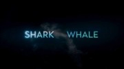 Акула против кита / Shark vs. Whale (2020)